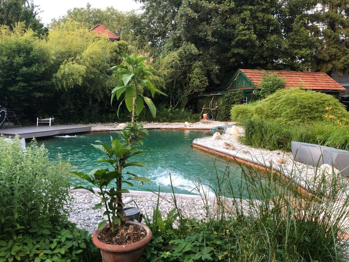 Haus Mit Sauna Und Privatem Badeteich In Anif Bei Salzburg Bagian luar foto